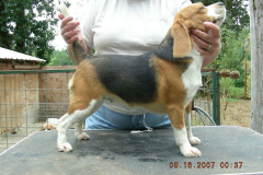 princess-alice-2