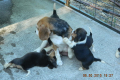 DSCN5509
