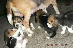 DSCN8359