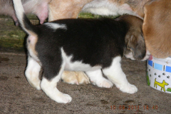 DSCN8362