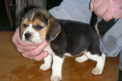 DSCN8382