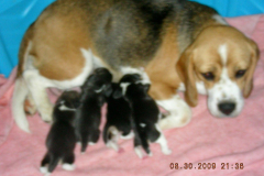 DSCN5256