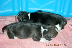 DSCN5261
