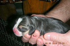 DSCN5265