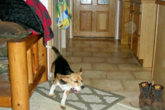 DSCN6190