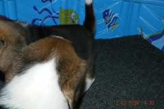 DSCN2652