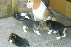 DSCN18513