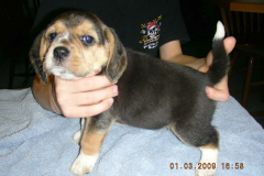 DSCN4100