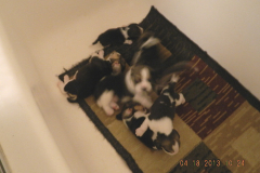 DSCN0546