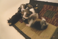 DSCN0548