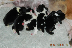 DSCN1727