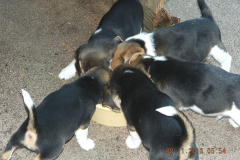 DSCN1825