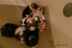 DSCN3632-01